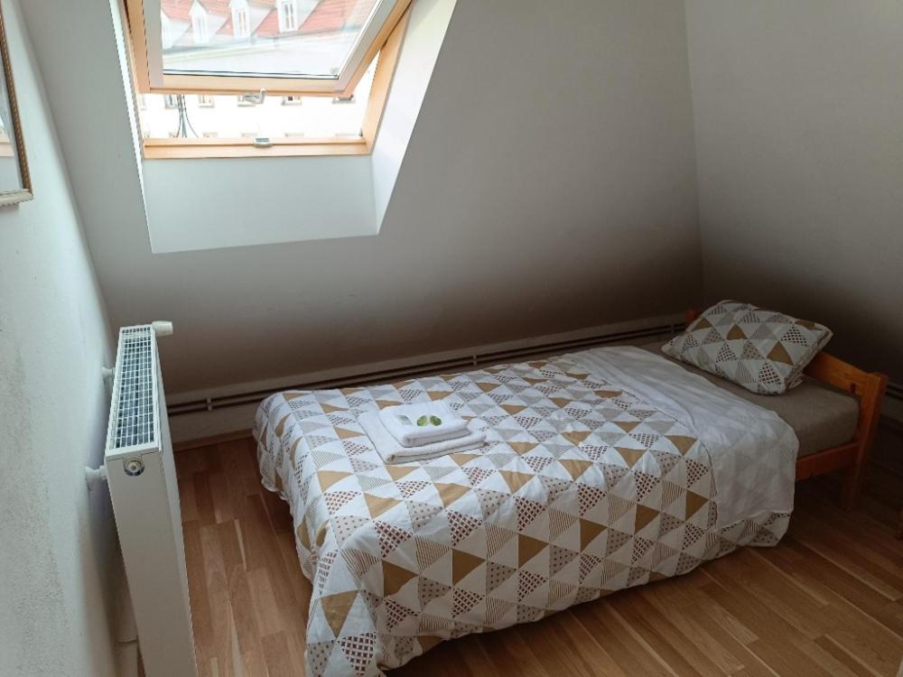 Apartmany Greg Ceske Budejovice Bagian luar foto